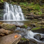 Cayuga Falls