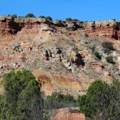 Callaghan (1) Img #1  Palo Duro Canyon