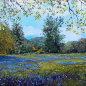 5th Place - Paint - Ince (1) Img #1  Allshtellach Bluebells