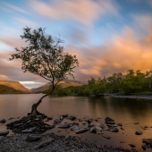 1st Place – Overall -  Kieran Brimson - “The Lone Tree” – www.kbrimsonphotography.com