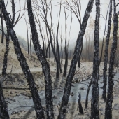 Suzanne Gibbs - “After the Fire, by the Creek” – www.artbysuzannebgibbs.com