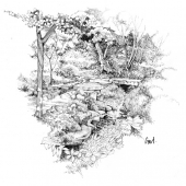 Carl Smith - “Crystal Spring” – www.behance.net/gallery/57810185/Crystal-Bridges-Museum-of-American-Art-Site-Drawings