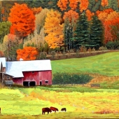 John Jaster - “Hidden Valley Ranch” – www.johnjasterstudio.com