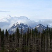 Michele Munyak - “View of Mount Jackson Glacier National Park Montana” – munyak@att.net