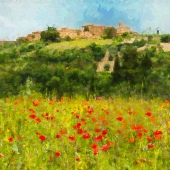 Barbara Mierau-Klein - “Tuscan Poppies” – www.barbaramierauklein.com