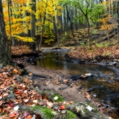 F. M. Kearney - “Wolfes Pond Park #3” – www.starlitecollection.com