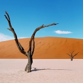 Daniel Heilig - “Deadvlei and the Namib Desert of Namibia” – www.danielheilig.com