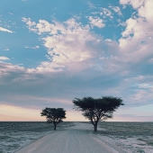 Daniel Heilig - “Etosha National Park of Namibia” – www.danielheilig.com