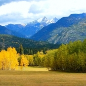 Mary Schwindt - “Colorado Aspen” – www.mschwindtphotography.com