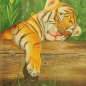 Sulbha Joshi - “Sleeping Cub” – www.samay.org.in