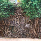 Jackson Lee - “Rooted in Survival” – www.jacksonlee-art.com