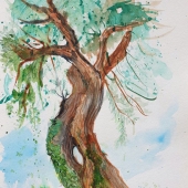 René Pauwels - “Olive tree, Italy” – www.artrenep1.com