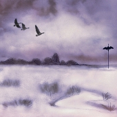 Alicia Beesley - “Stormy Winter Flight” – www.aliciabeesley.foliopic.com