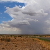 Nancy Sullins - “Rain on the Desert” – mosullins@gmail.com