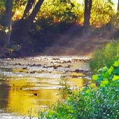 Boze (1) Img #3  Monet's River