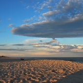 Burdine (1) Img #2 Little Plains Beach Magic Hour