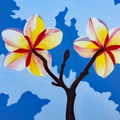 Marci (1) Img #2  Plumeria Twins