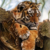 Sabine Lackner - “Magic of the Tiger” – http://www.sabinelacknerfineart.com/