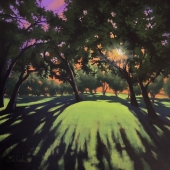 Joe A. Oakes - “Live Oak Shadows” – http://www.joeaoakes.com/