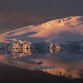 Doug Gould - “Christmas Morning in Antarctica” – doug86gould@gmail.com