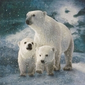 Barbara Mierau-Klein - “Ice Bear Family” – http://www.barbaramierauklein.com/