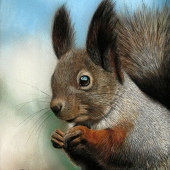 Sabine Lackner - “Sweet Squirrel” – http://www.sabinelacknerfineart.com/