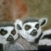 Susan VanVolkenburgh - “Lemurs-2” – suevanv@yahoo.com