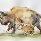 Francis Lawrence - “Bison Mother and Calf” – francistre@gmail.com