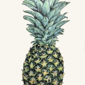 Janice Margelino - “Pine-Apple” – https://www.instagram.com/janice_m_art/