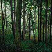 Marek Krumpár - “Forest” – http://www.marekkrumpar.com/