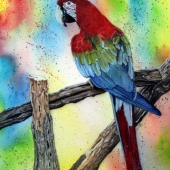 Kathleen Smith - “A Splash of Color” – http://www.facebook.com/KathiLecasSmith