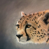 Aileen Harvey - “On the Lookout” – http://www.aileenharveyportraits.com/