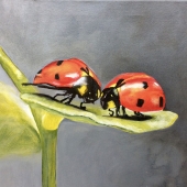 Anna Antonini - “Lady Bugs” – anna.creative.antonini@gamil.com