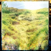 Nicholas Kozis - “George F. Canyon Trails, Palos Verdes” – http://www.nickkozis.com/