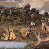 Bernice Fargus - “Morning on the Savanna” – bernicefargus@gmail.com