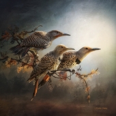 1st Place – Merrilee Soberg - “Flickers in the Early Morning Light” – www.merrilee-soberg.pixels.com