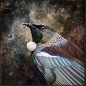 3rd Place – Judi Lapsley Miller - “Forever Calling Me (Tūī)” – www.artbyjlm.com