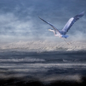 Hon. Mention – Nicole Wilde - “Journey to Calmer Waters” – www.photomagicalart.com