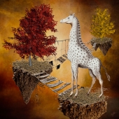 Barbara Mierau-Klein - “Flying Giraffe” – http://www.barbaramierauklein.com/