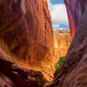 Rodney Buxton - “Slot Canyon, Rattlesnake Ridge, Morning” – http://onandofftheroadcreativeimages.com/