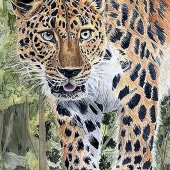 Pamela S Conley - “Amur Leopard” – wooconley@gmail.com