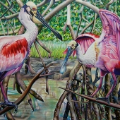 Nancy Jacey - “Spoonbills” – http://www.nancyjacey.com/