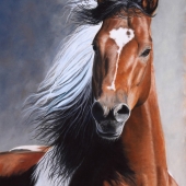 1st Place – Kathy M Paulus - “Fly Away Horse” – www.facebook.com/ElipisFineArt