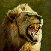 Hon. Mention - Ilona Abou-Zolof - “Roaring Lion” – www.zolof.net