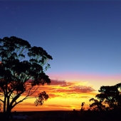 Hon. Mention – Wendy Goodwin - “Australian Bushland Sunset” – bilbobaggins@adam.com.au