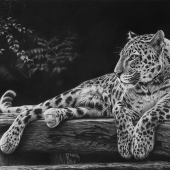 Monica Lee - "Spotted Beauty” – http://www.facebook.com/monicaleeart