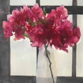 Shaohong Yao – “Bougainvillea in front of the window” - 916871813@qq.com