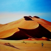 Wiegmink (1) Img #1 Splendour of the Namib